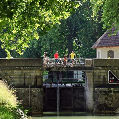 Die Sturmwiese