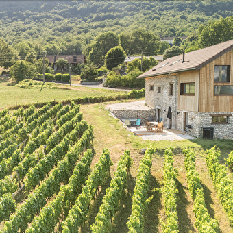 La Char'Vigne - ANGLEFORT