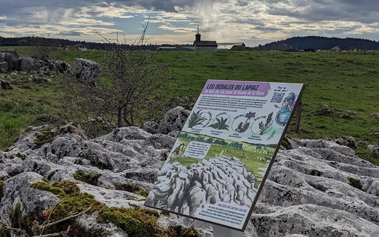 Die Fankarstischen Abenteuer - O Mysterium
