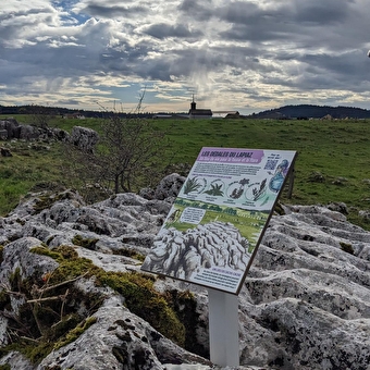 Die Fankarstischen Abenteuer - O Mysterium - COURVIERES