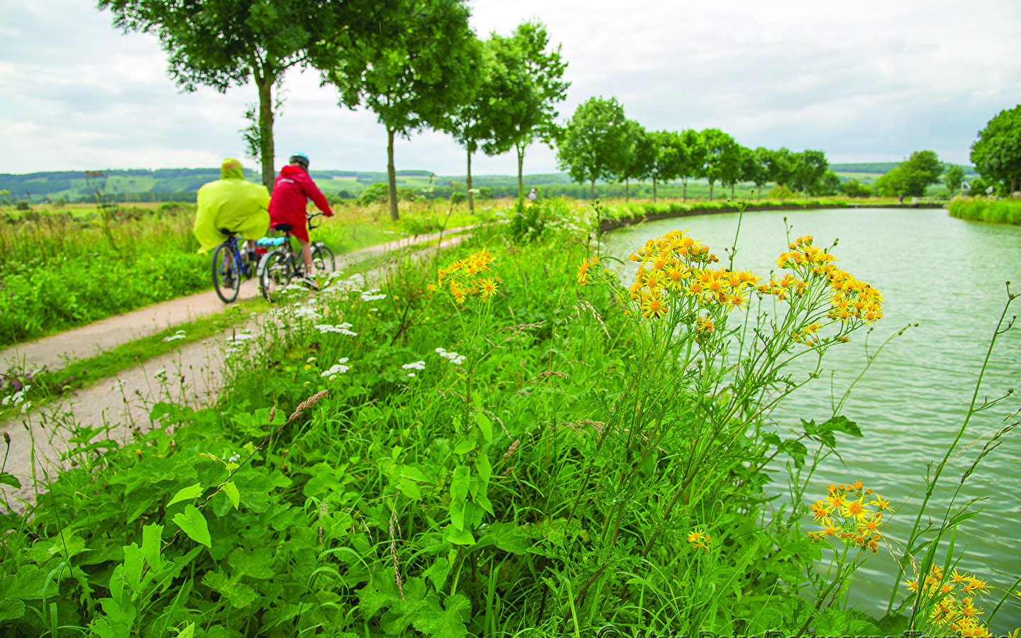LE LONG DE LA VIA FRANCIGENA