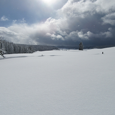 Die Entdeckung der Hautes-Combes du Jura mit Schneeschuhen
