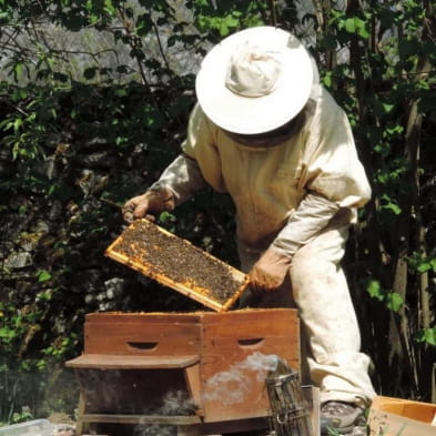 René Laubez - vente de miel et dérivés