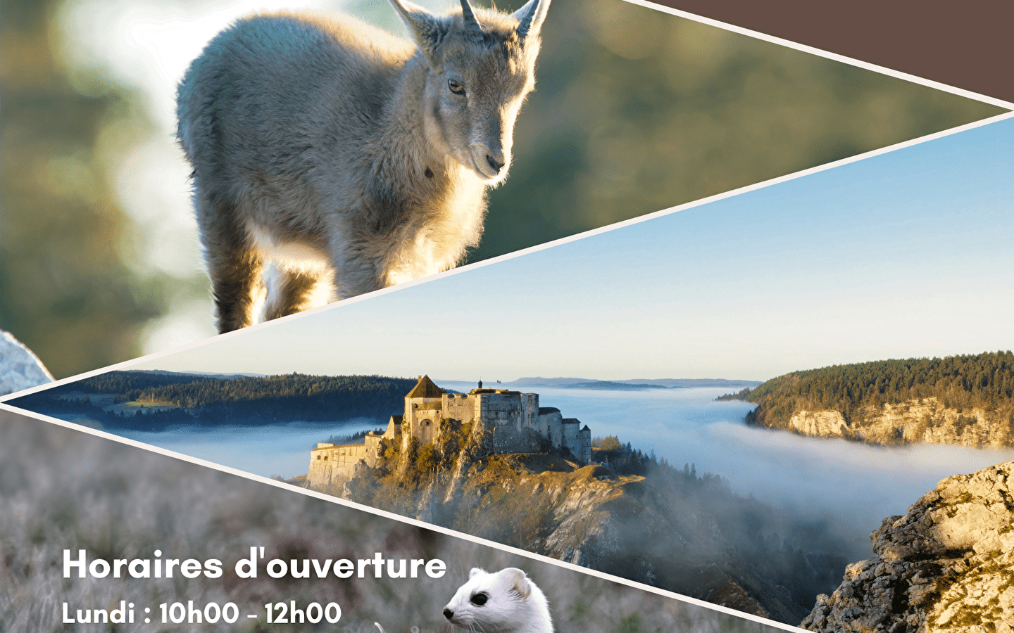 Fotoausstellung Landschaften und wilde Tiere des Haut-Doubs