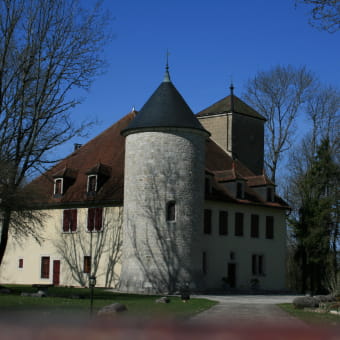 Château de Maisod - MAISOD