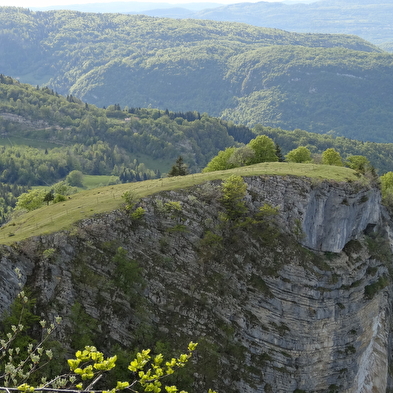 Belvédère de la Roche Blanche 