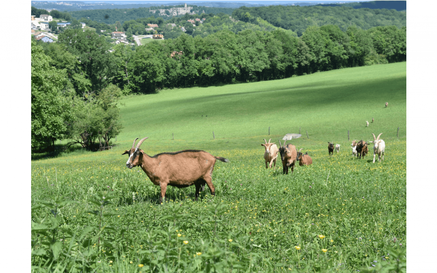 Kammweg (Sentier des Crêtes)