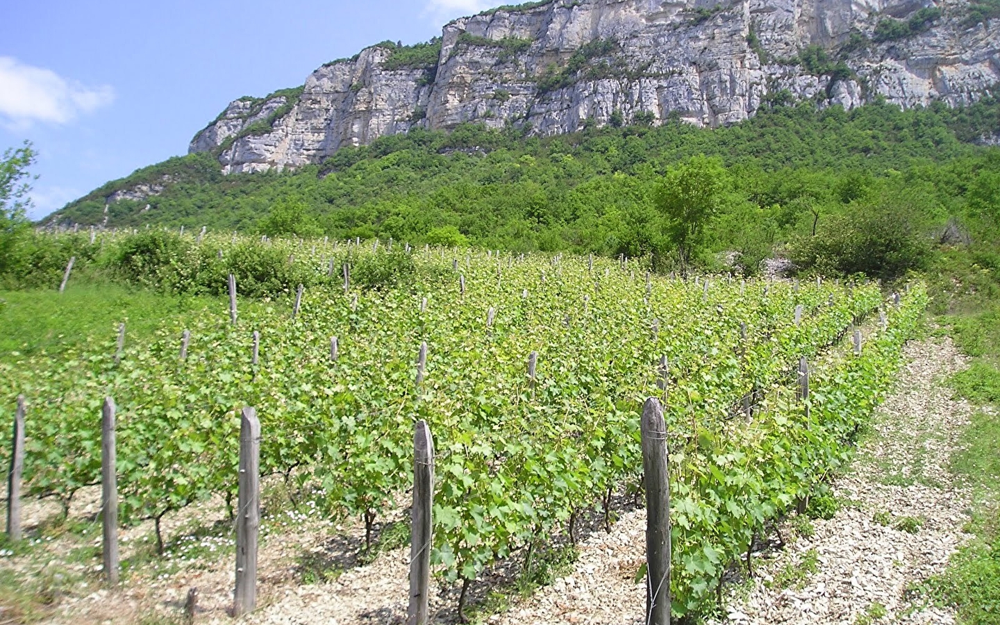 Les Grangeons de l'Albarine