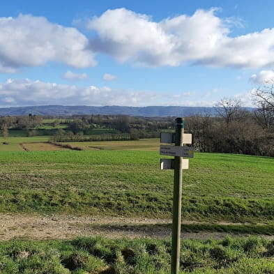 Etang des Baisses et ferme de Bévey (VTT)