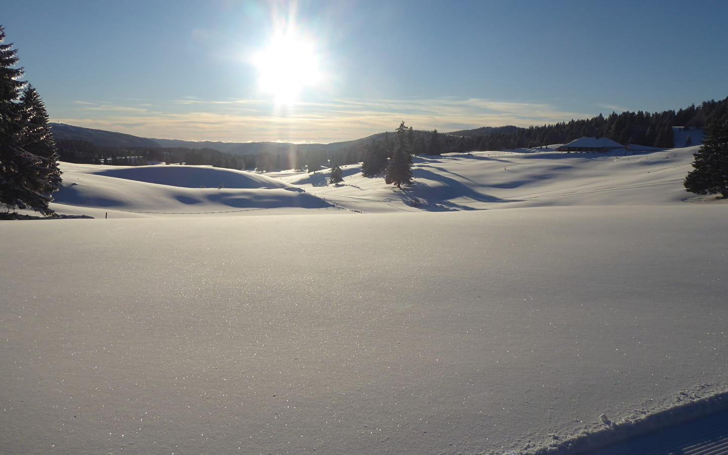 Piste de ski de fond : Les Sonnailleys