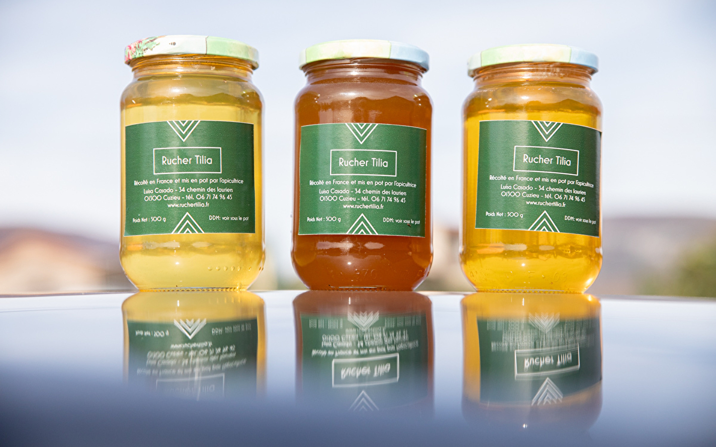 Rucher Tilia - vente de miel