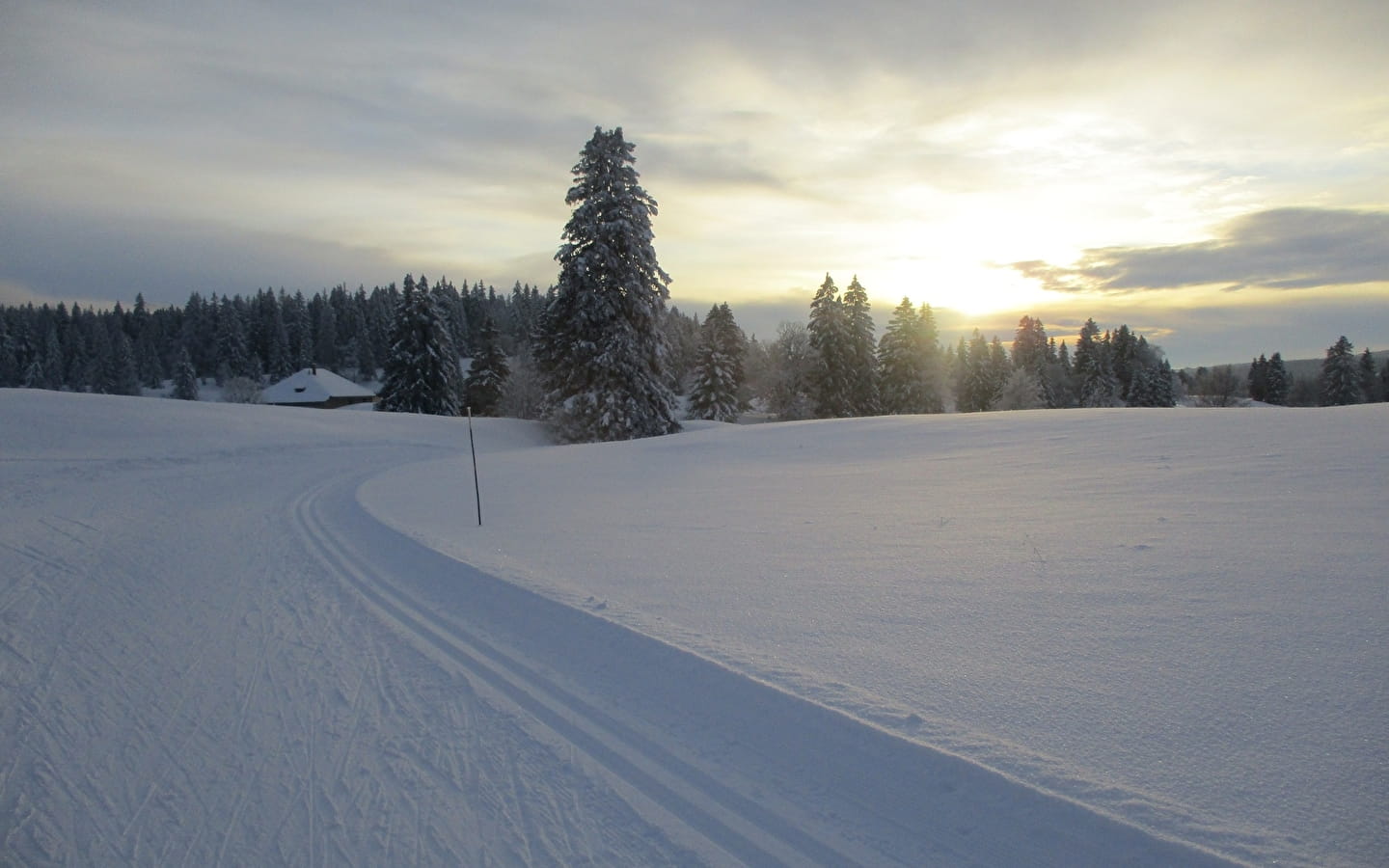 Piste de ski de fond : La Pillarde