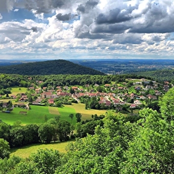 Kammweg (Sentier des Crêtes) - VORGES-LES-PINS