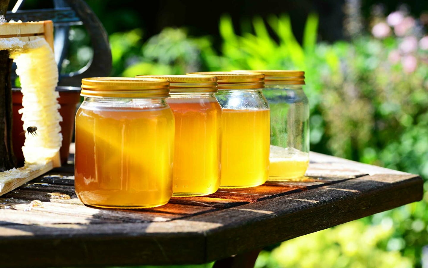 Atelier 123 nature : extraction de miel
