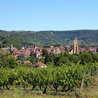 Der Rundgang durch die Weinberge - ARBOIS