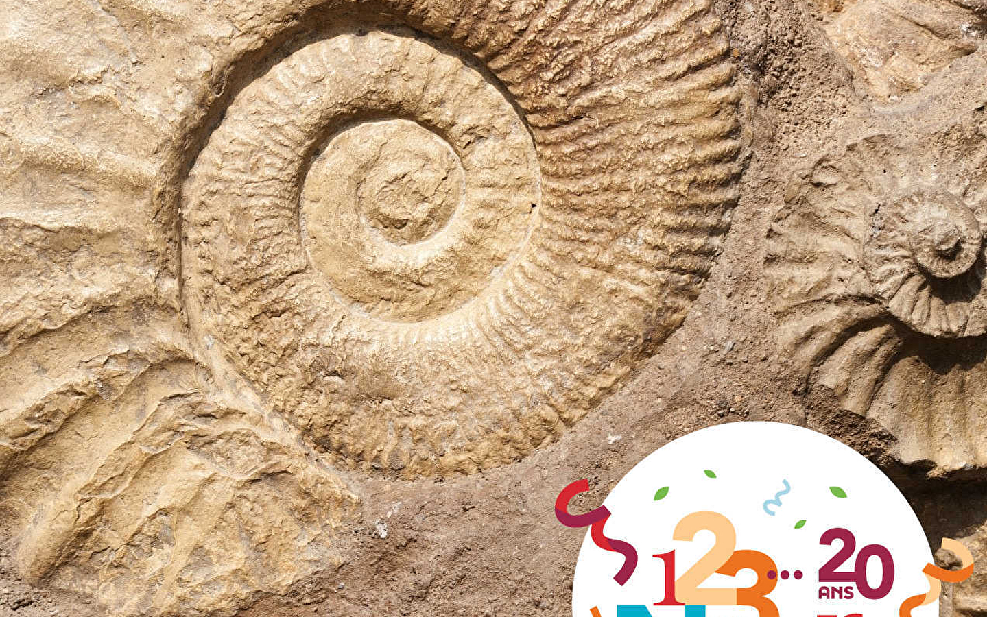 AUSFLUG 123 NATUR: FOSSILIEN KOMPLETT