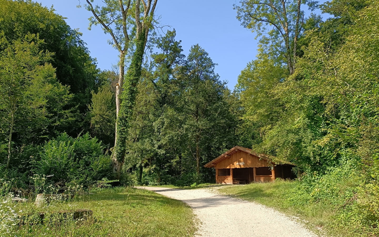 Rundweg durch den Wald von Villars-Sous-Écot Maquis-Denkmal