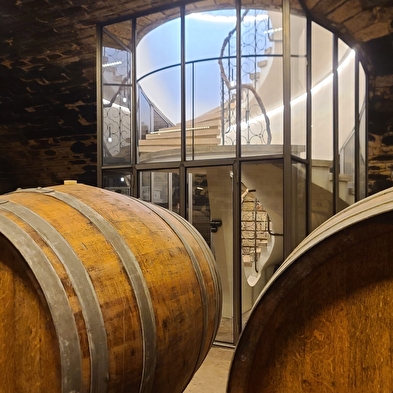 Vom Labor zum Weinberg: Auf den Spuren von Pasteur in Arbois