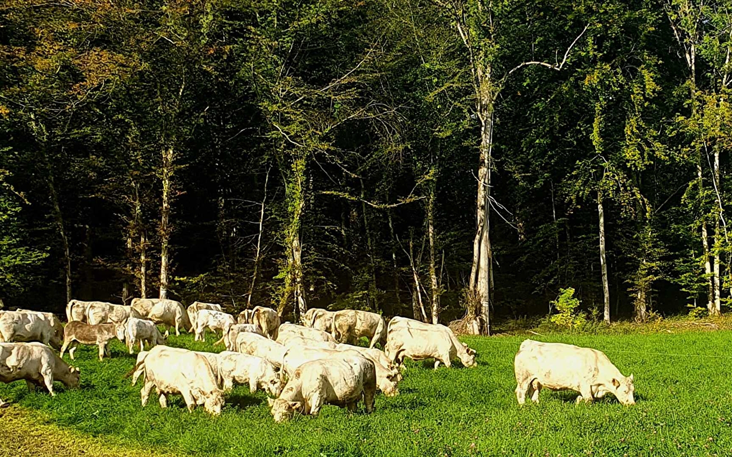 La Ferme les Granges Rouges
