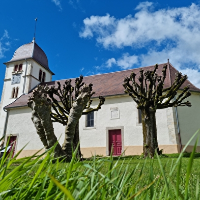 Rundgang durch das Kulturerbe von Vandoncourt
