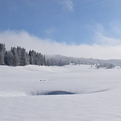 Piste verte de ski de fond du Plateau de Retord : La Vezeronce