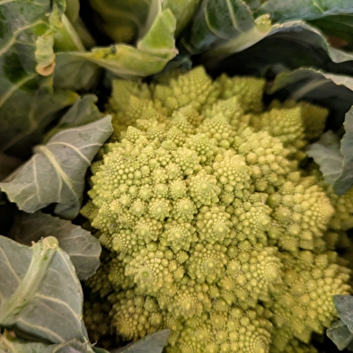 Le Marché aux Saveurs