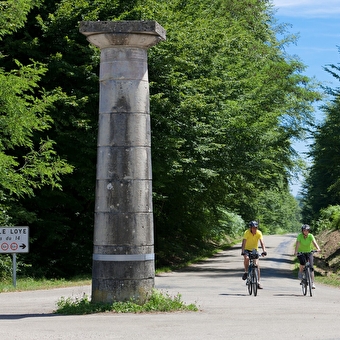 Die Brunnen - DOLE