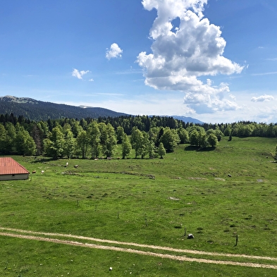 La Grande traversée du Jura à vélo - GTJ à vélo (Die große Durchquerung des Jura mit dem Fahrrad)