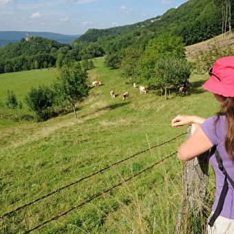 Ufer- und Burgpfad - MONTFAUCON