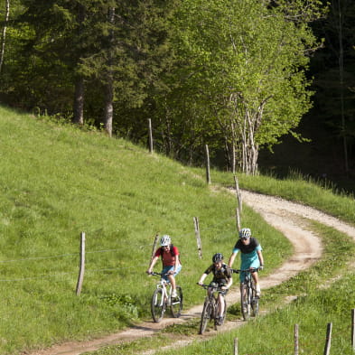 Tour des Lacs - Mountainbike - n°18