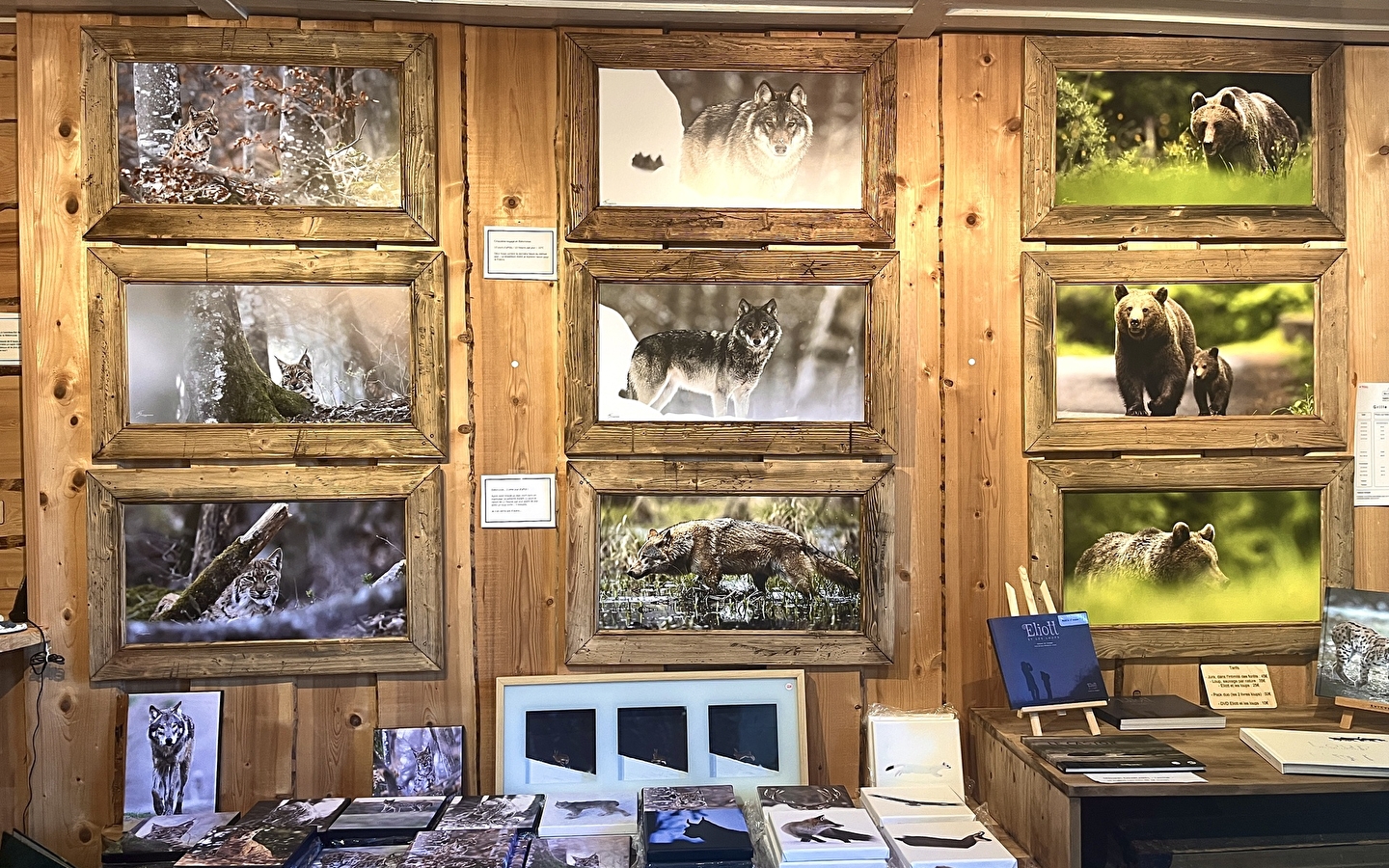 Wild Wolf Gallery