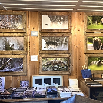 Wild Wolf Gallery - LAMOURA