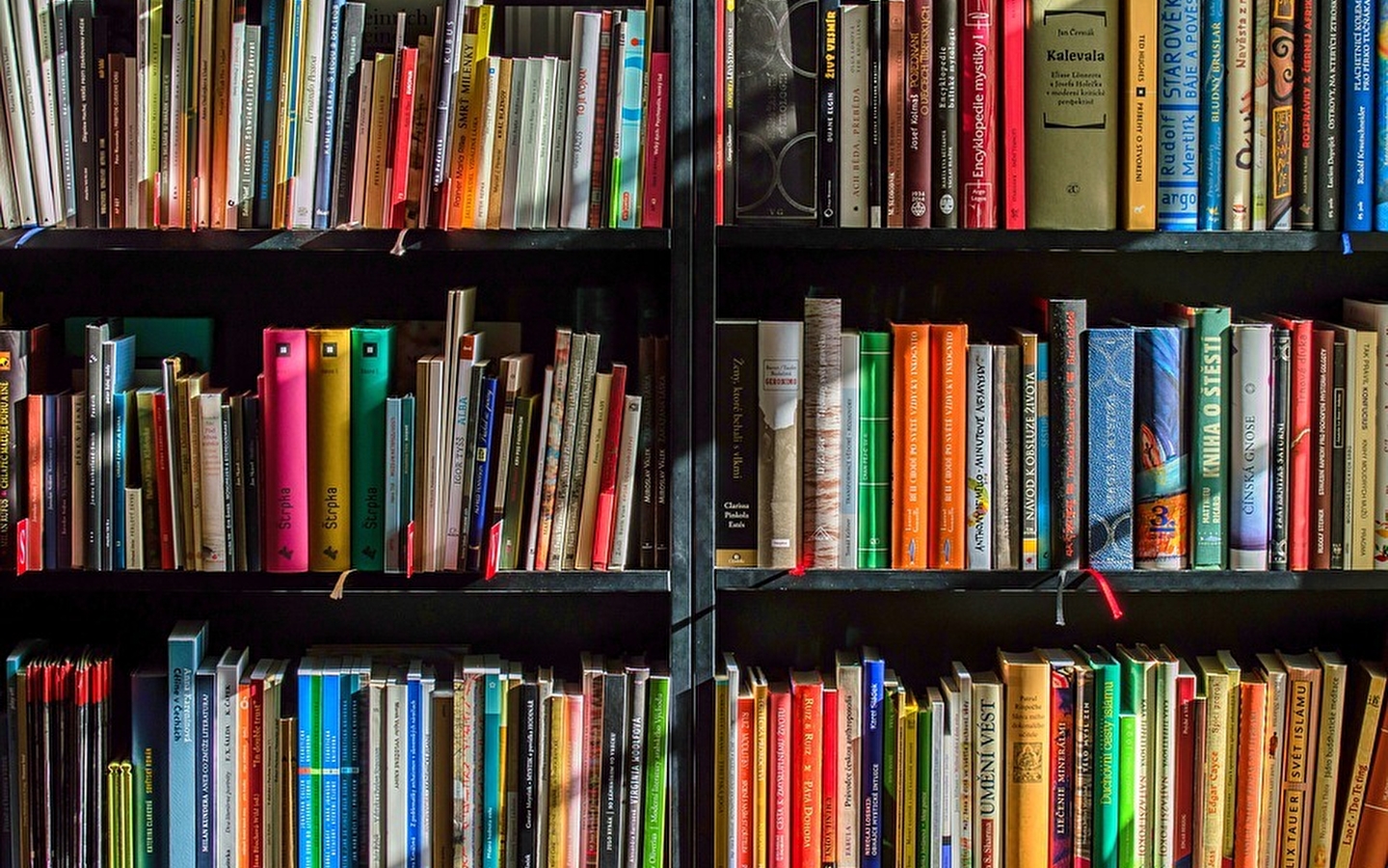 Workshop - Literaturcafé