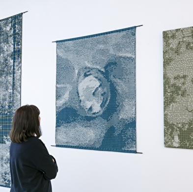 Tissage de Séquanie