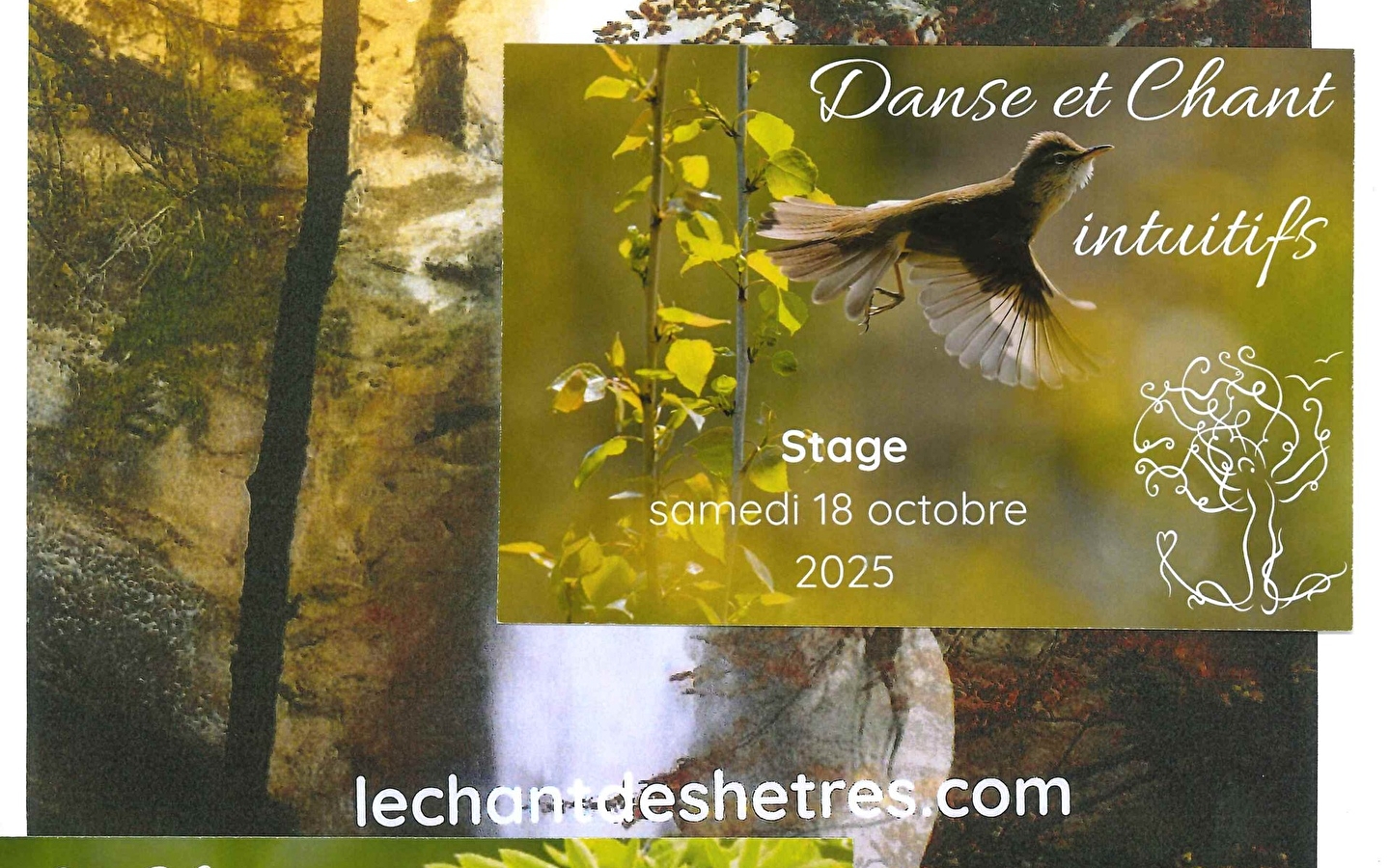 Workshops ' Le Chant des hêtres ' (Der Gesang der Buchen)
