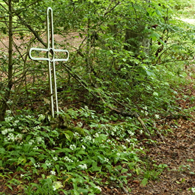 Wanderweg - der gratpfad