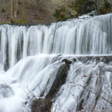 Pfad der Sources d'Arcier