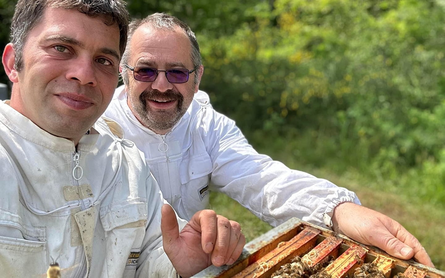 Les miels de Franche-Comté