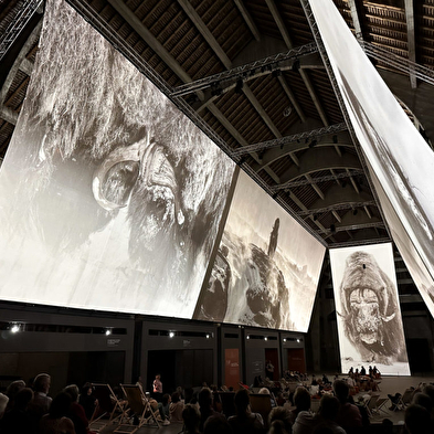 Filmvorführung: 'Vincent Munier, Von den Vogesen nach Tibet'.