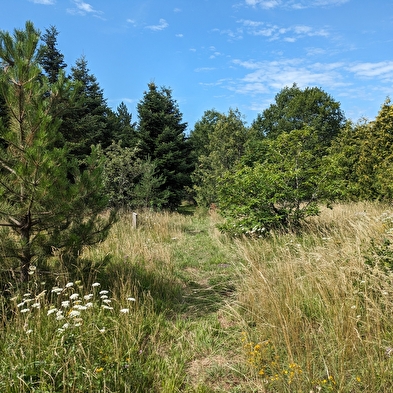 Sentier découverte