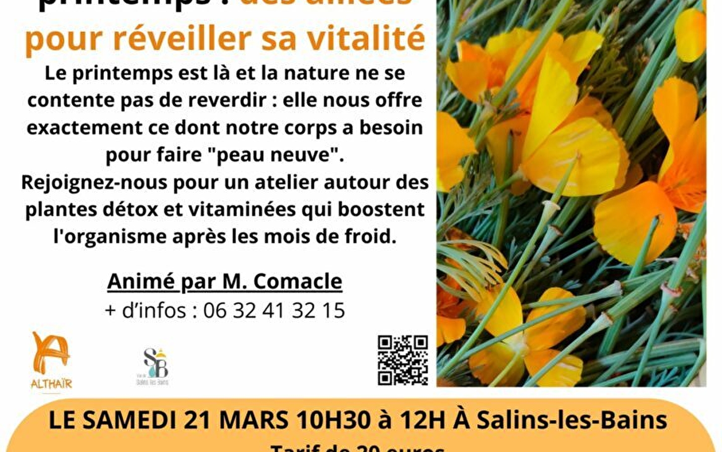 Pflanzen im Frühling