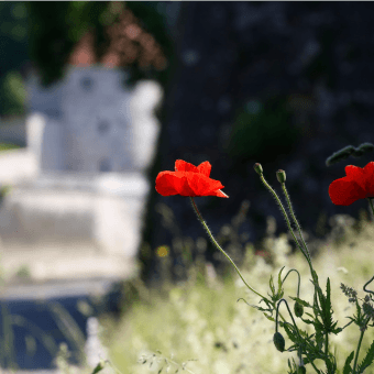 Mountainbike-Rundkurs n°112 / Gennes - BESANCON