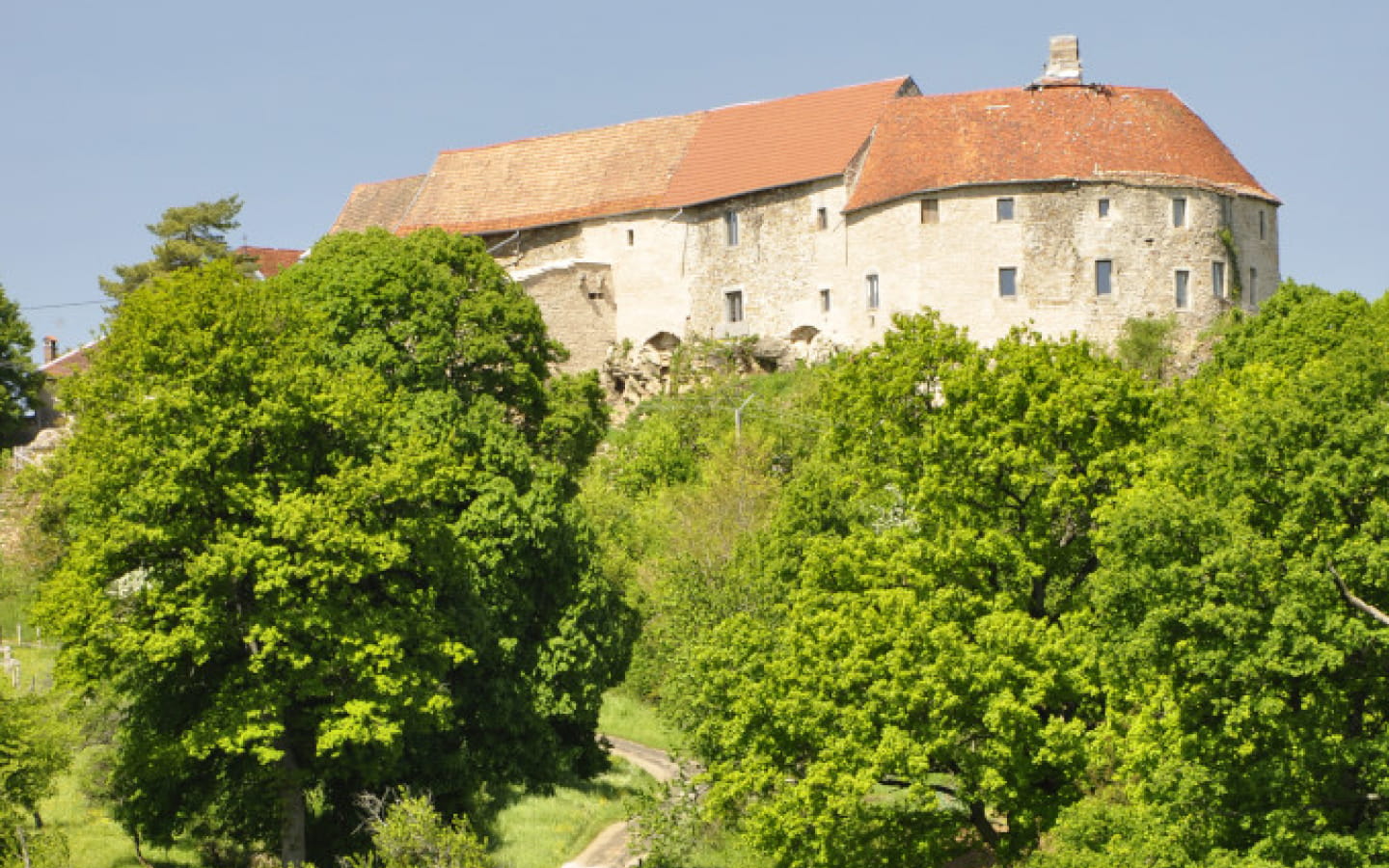 Château Médiéval de Montby