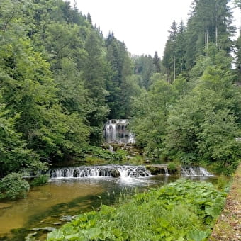 Quelle des Ain und Wasserfall von Moulin du Saut  - DOYE