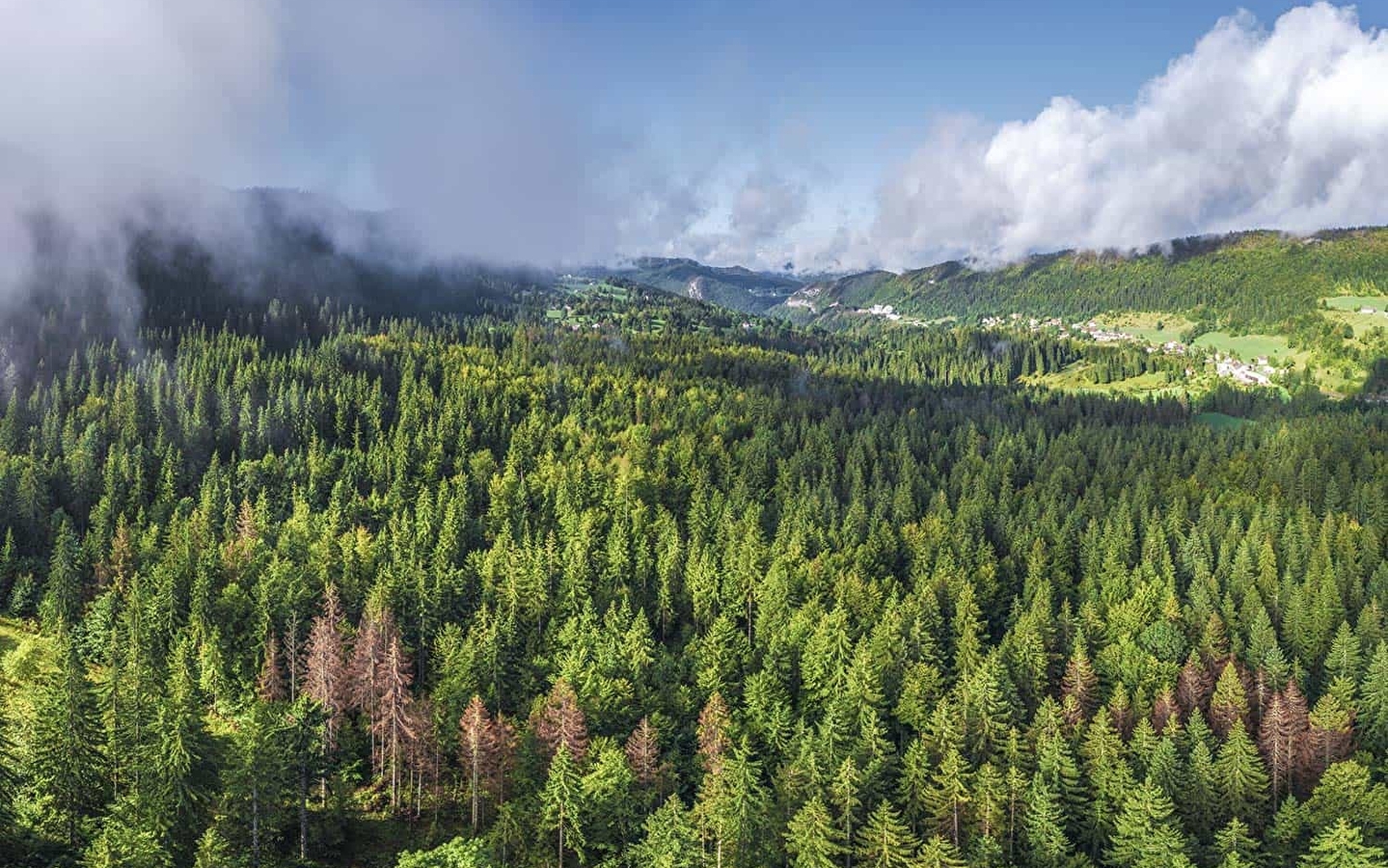 Die Tour des Know-hows - Fahrradschleife 07