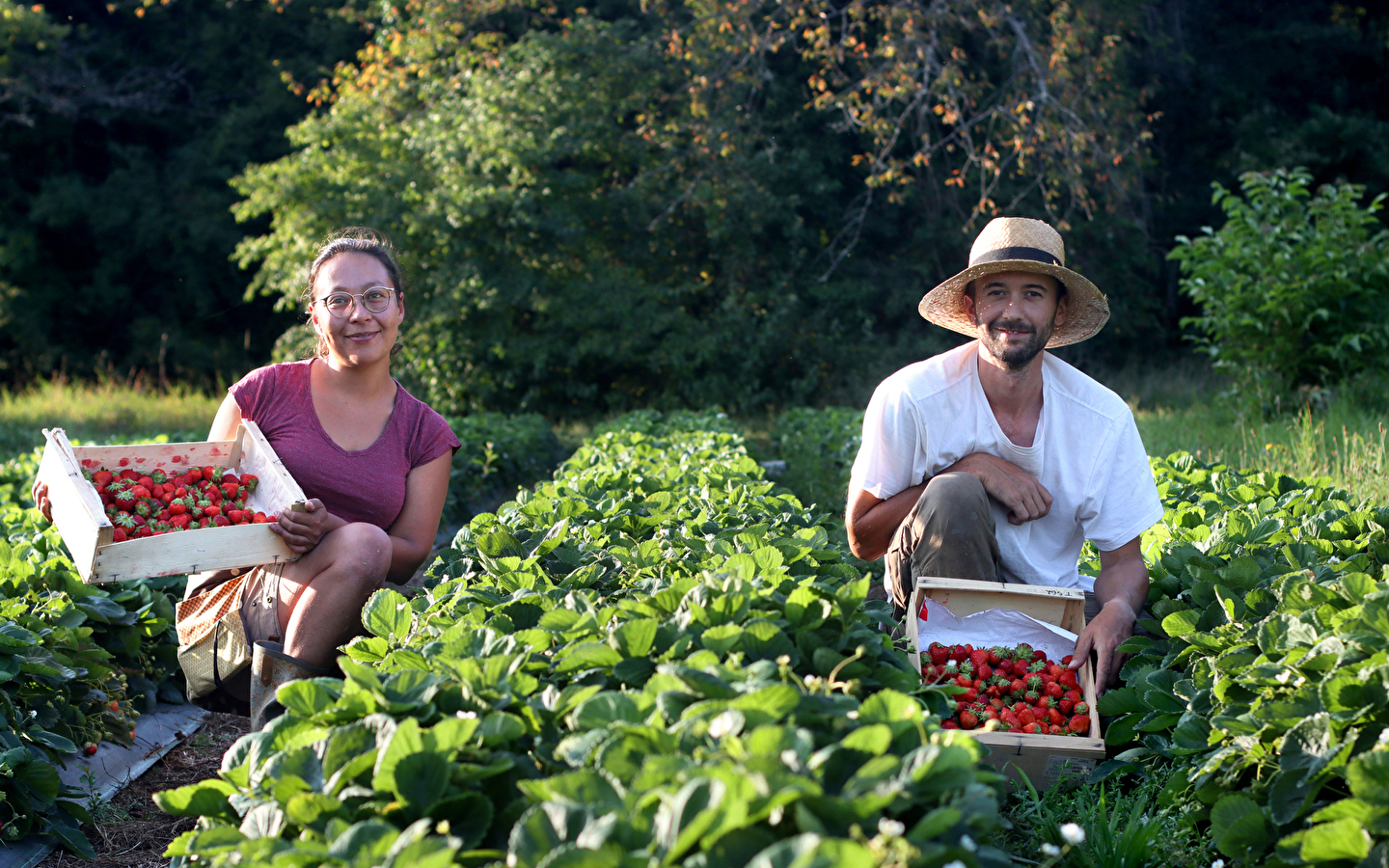 Besuch einer Bio-Obstfarm - Le Champ des Gourmands