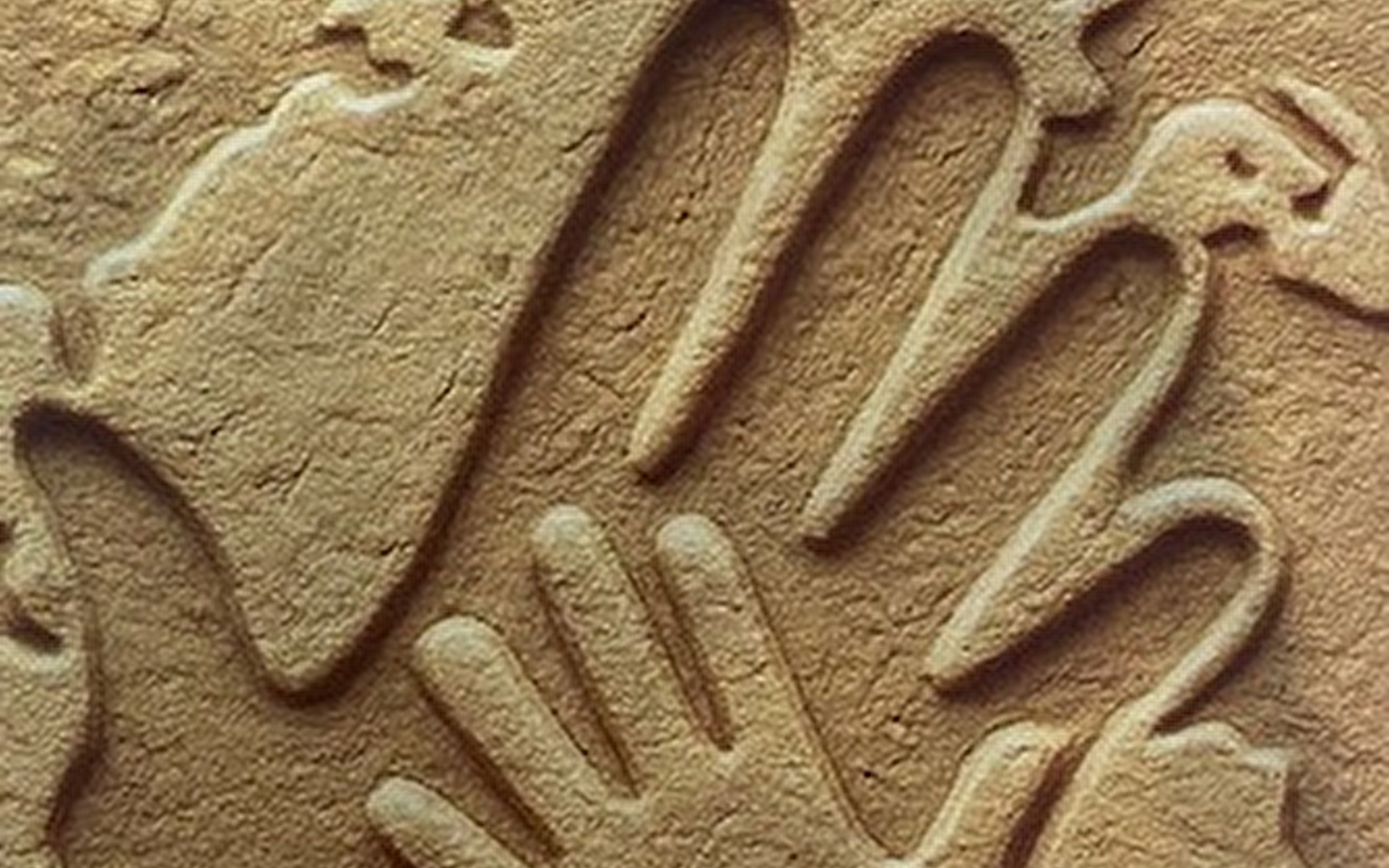 FAMILIENAUSFLUG IN DIE NATUR