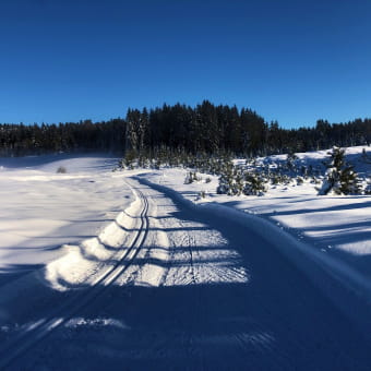 Piste bleue de ski de fond de Lachat : La Chandeleuse - HAUT VALROMEY