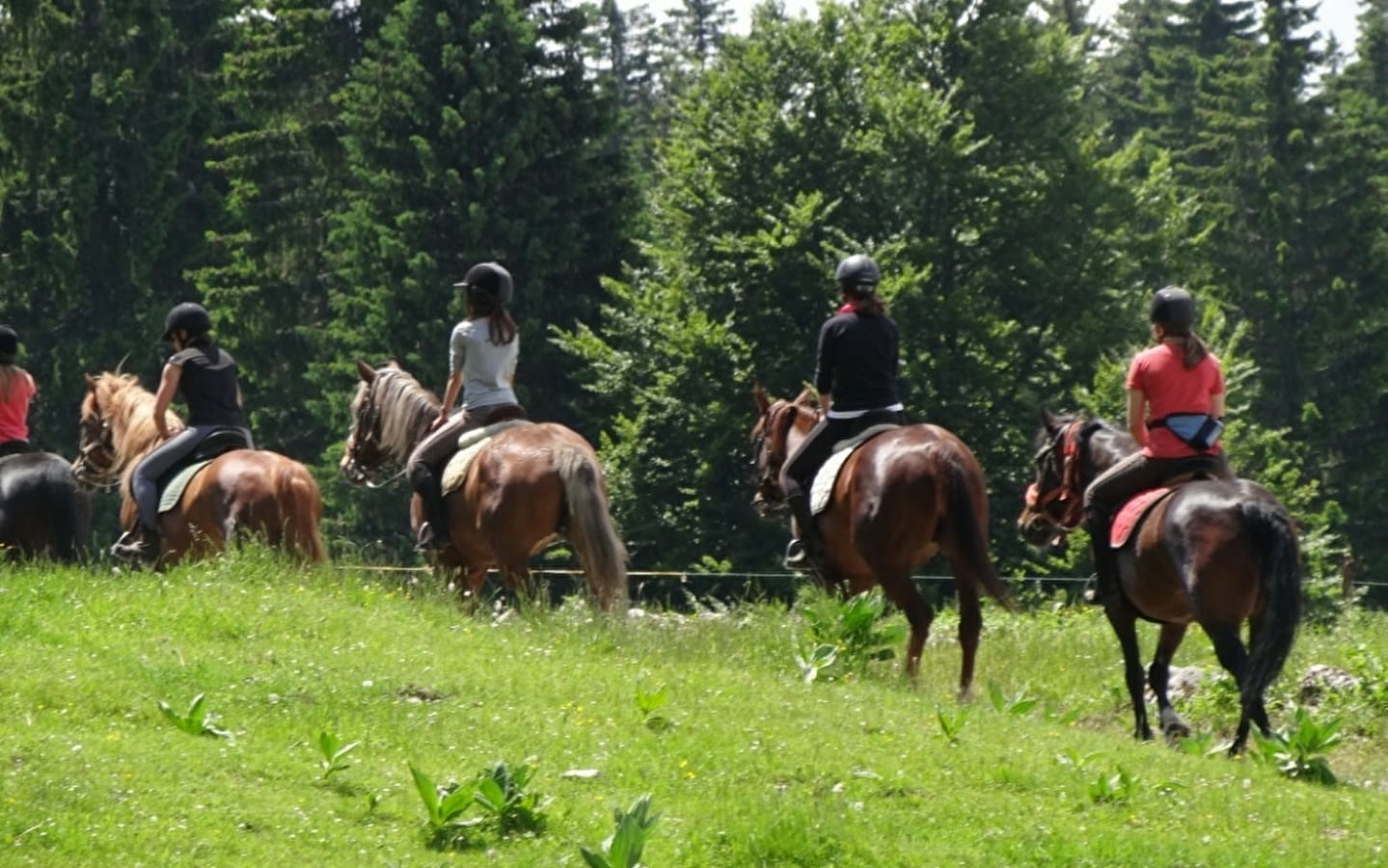 Mini-Trekking auf Ponys mit Snacks