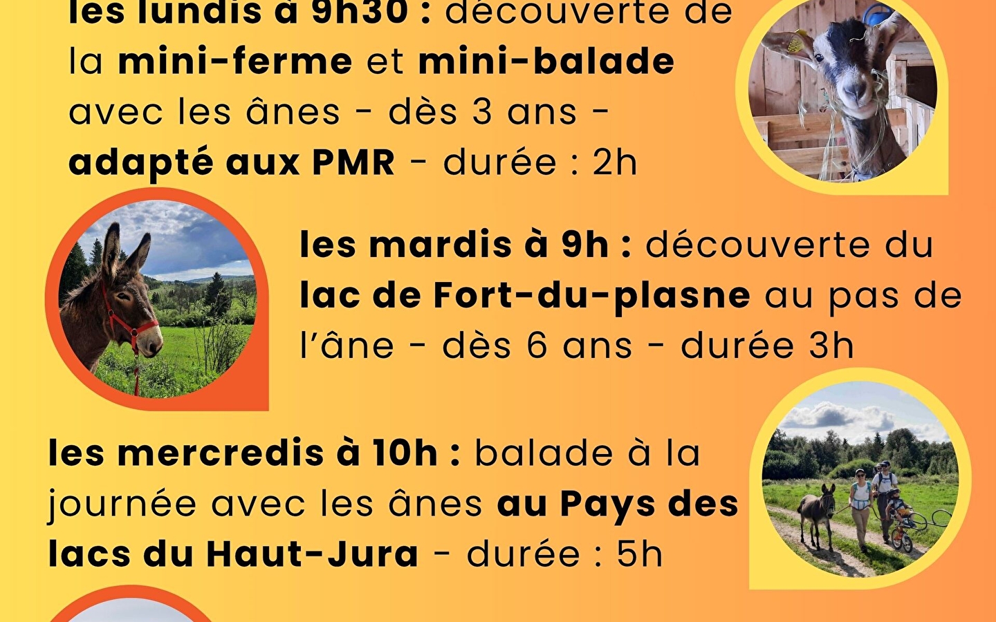 Entdeckung des Sees Fort du Plasne im Eselschritt